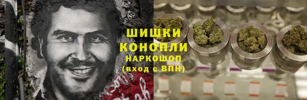 apvp Богданович