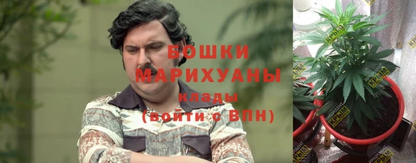 mdma Богородицк