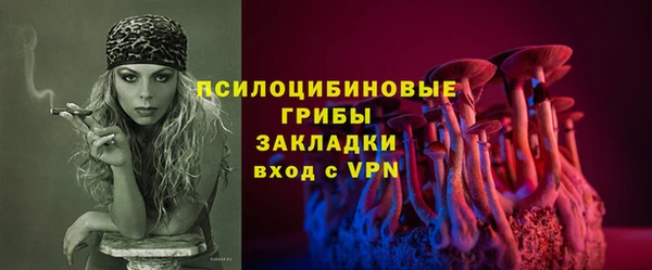 винт Бронницы