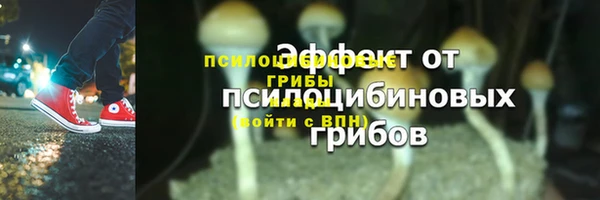 apvp Богданович