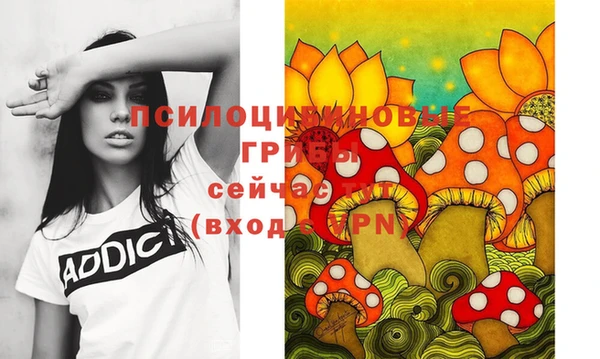 прущие крисы Бородино