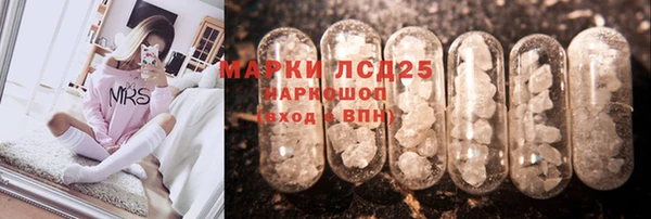 прущие крисы Бородино