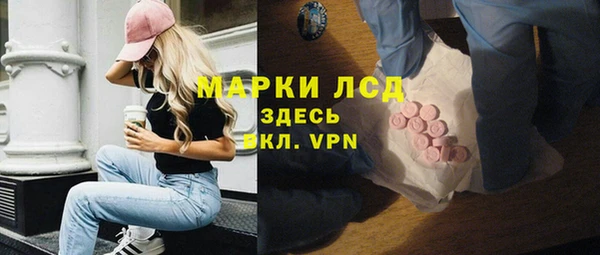 прущие крисы Бородино