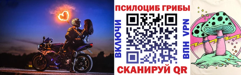 купить   Минеральные Воды  Псилоцибиновые грибы ЛСД 